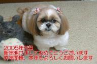 ���ꥸ�ʥ륵���� W500 x H333
